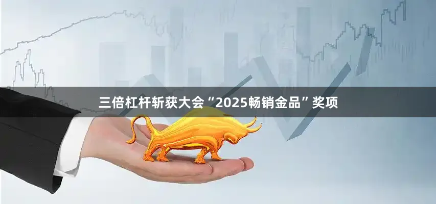 三倍杠杆斩获大会“2025畅销金品”奖项